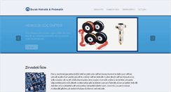 Desktop Screenshot of burakpnomatik.com